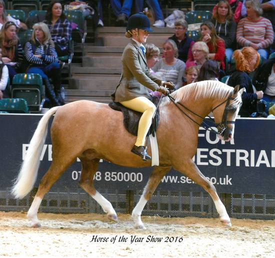 biscuit-at-hoys