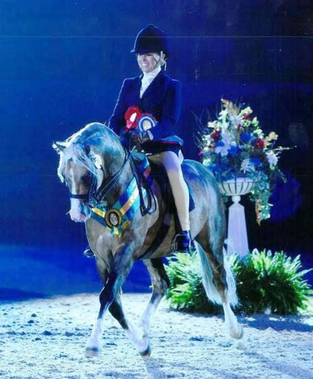 Cadlanvalley Buzby ridden by Katy Marriott-Payne